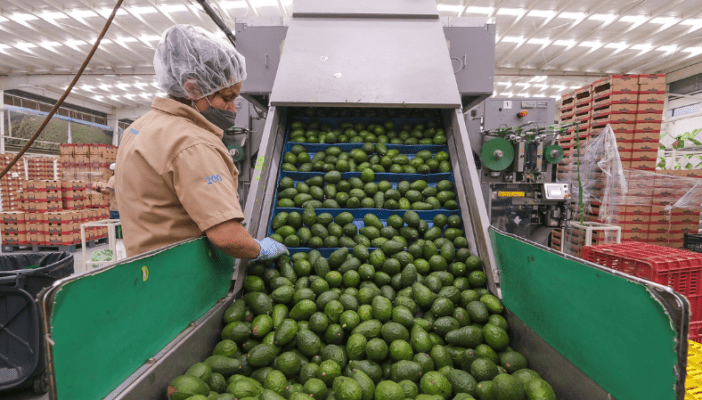 Jalisco se mantiene como líder en generación de empleo formal