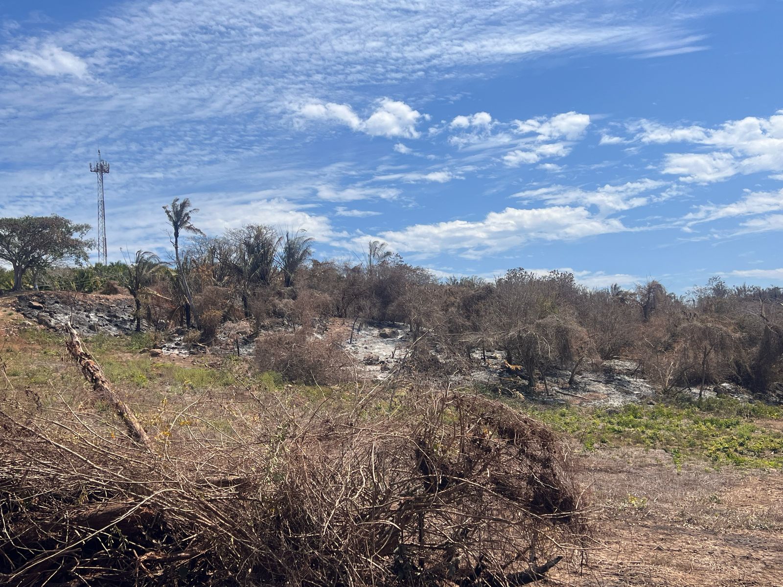 Imagen cortesía de A, Valle.