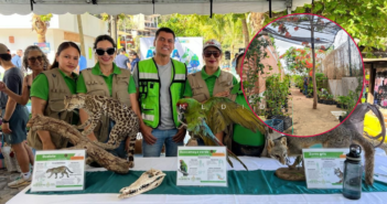 Puerto Vallarta lanza el programa "Árboles de Plaza en Plaza"