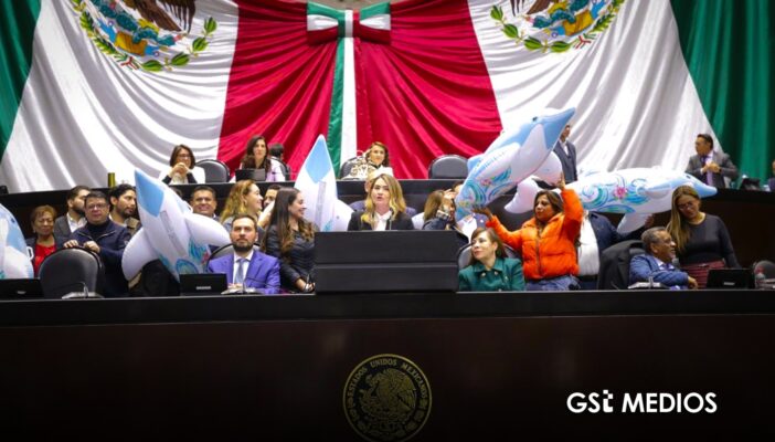 Diputados aprueban reforma que prohíbe espectáculos con delfines y delfinarios en México