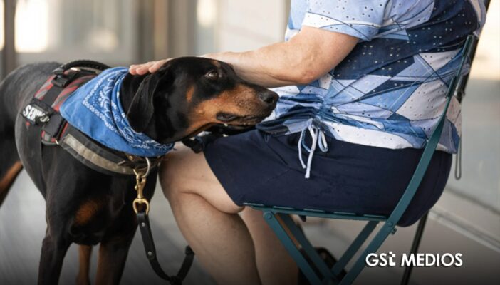 Se aprueba dictamen que permite el acceso de animales de compañía a establecimientos