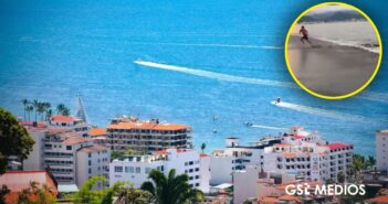 Cocodrilos en playas agravan la imagen deteriorada de Puerto Vallarta