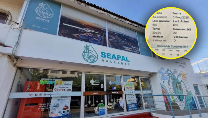 ¿Cuál es la tarifa actual de Seapal Vallarta?
