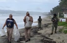 Marina rescata 103 huevos de tortuga marina en Nuevo Nayarit