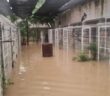 Refugio de aves en Mojoneras resulta afectado por las lluvias; las aves se encuentran a salvo