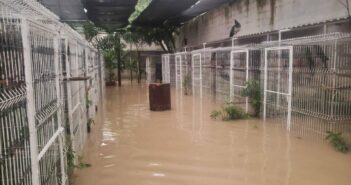 Refugio de aves en Mojoneras resulta afectado por las lluvias; las aves se encuentran a salvo