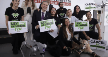 Presentan la "Ley Pay de Limón" que busca endurecer las penas por maltrato animal
