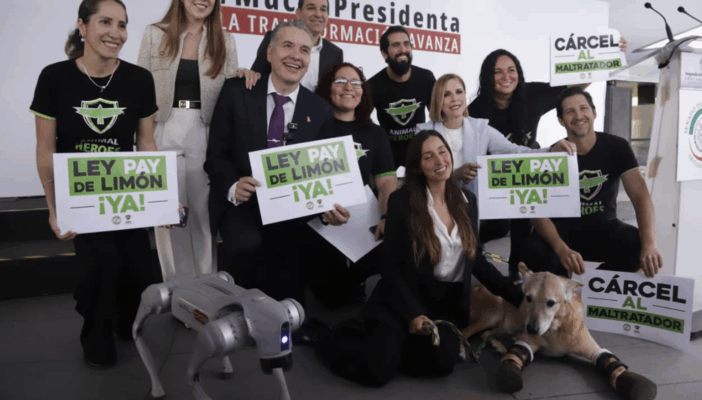Presentan la "Ley Pay de Limón" que busca endurecer las penas por maltrato animal