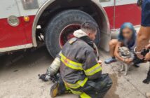 Rescatan a tres perritos de incendio en Fluvial Vallarta