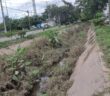 Persiste la falta de desazolve en canales; Parque Las Palmas continúa con maleza y vecinos temen nuevas inundaciones