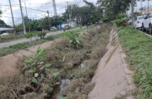 Persiste la falta de desazolve en canales; Parque Las Palmas continúa con maleza y vecinos temen nuevas inundaciones