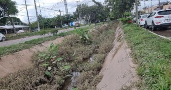 Persiste la falta de desazolve en canales; Parque Las Palmas continúa con maleza y vecinos temen nuevas inundaciones Persiste la falta de desazolve en canales; Parque Las Palmas continúa con maleza y vecinos temen nuevas inundaciones