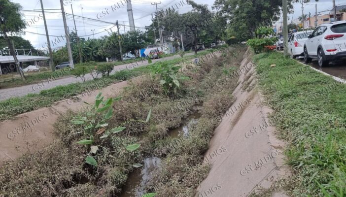 Persiste la falta de desazolve en canales; Parque Las Palmas continúa con maleza y vecinos temen nuevas inundaciones