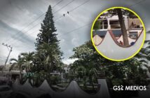 Talan Pino de casi un siglo en la iglesia de Nuestra Señora de la Paz en Bucerías