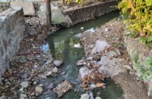 Vecinos denuncian que persisten derrames de aguas negras sin atender en la colonia Del Toro