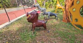 Osos desnutridos generan polémica por millonario gasto en Tepic