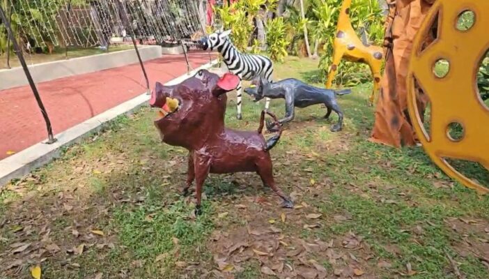 Osos desnutridos generan polémica por millonario gasto en Tepic