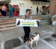 Anuncian Jornada de adopción animal en Puerto Vallarta