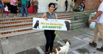 Anuncian Jornada de adopción animal en Puerto Vallarta