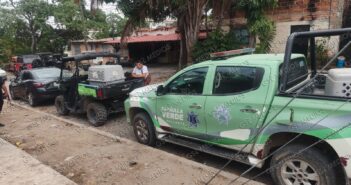 Bienestar Animal resguarda a perros y cachorros tras denuncias por maltrato