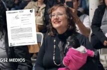 Renuncia regidora de Ocotlán tras difusión de video con mono araña; Profepa interpone denuncia