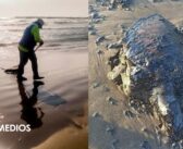 Once días después del derrame, continúan trabajos para limpiar costas del sur de México