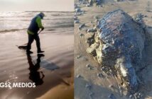 Once días después del derrame, continúan trabajos para limpiar costas del sur de México