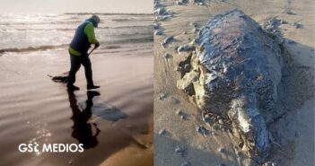 Once días después del derrame, continúan trabajos para limpiar costas del sur de México