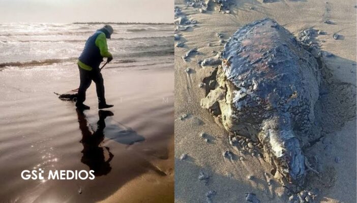 Once días después del derrame, continúan trabajos para limpiar costas del sur de México