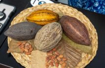 Puerto Vallarta será sede del Festival del Cacao y Chocolate