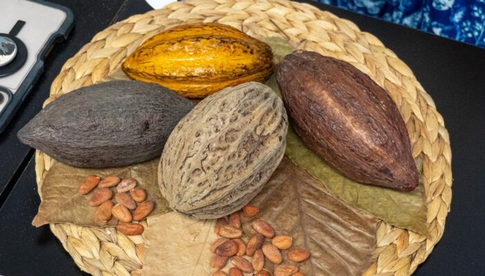 Puerto Vallarta será sede del Festival del Cacao y Chocolate
