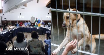 Aprueban nuevo albergue animal y rehabilitación del Centro de Control en Puerto Vallarta