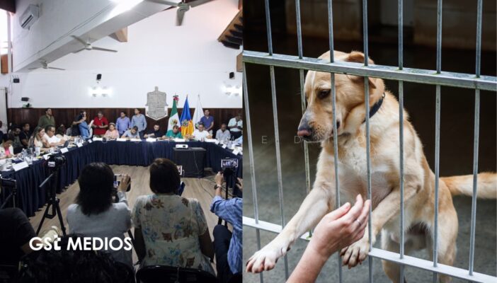 Aprueban nuevo albergue animal y rehabilitación del Centro de Control en Puerto Vallarta
