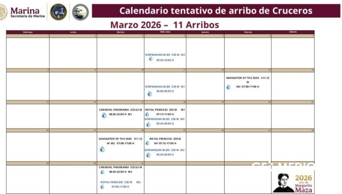 Actualizan calendario de marzo de cruceros en Puerto Vallarta: cancelan tres arribos