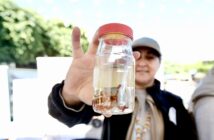 Secretaría de Salud llama a reforzar medidas de prevención ante picaduras de alacrán