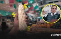 Sheinbaum reconoce que precio del maíz se encuentra en su nivel más bajo