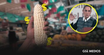 Sheinbaum reconoce que precio del maíz se encuentra en su nivel más bajo