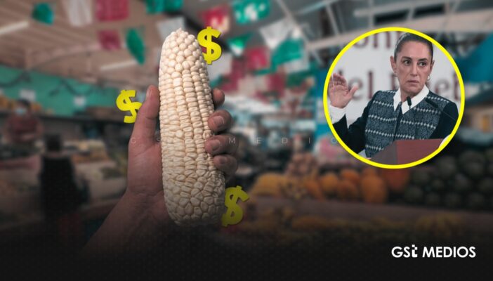 Sheinbaum reconoce que precio del maíz se encuentra en su nivel más bajo