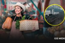 Darán apoyos a locatarios afectados por incendios del 22 de febrero en la colonia 5 de Diciembre