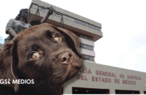 Fiscalía del Edomex investiga presunto maltrato animal en Tecámac