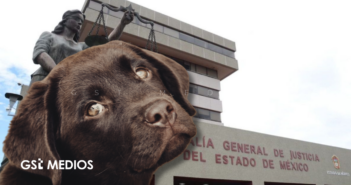 Fiscalía del Edomex investiga presunto maltrato animal en Tecámac