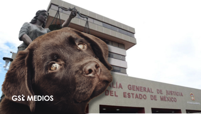 Fiscalía del Edomex investiga presunto maltrato animal en Tecámac