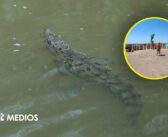 Dan a conocer playas con riesgo de presencia de cocodrilos en Puerto Vallarta durante Semana Santa