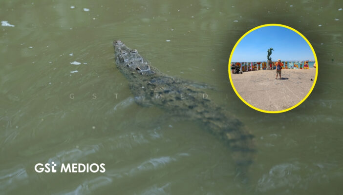 Dan a conocer playas con riesgo de presencia de cocodrilos en Puerto Vallarta durante Semana Santa