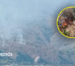Incendio consume 15 hectáreas de cerro frente a Playa Palmares