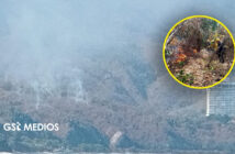 Incendio consume 15 hectáreas de cerro frente a Playa Palmares