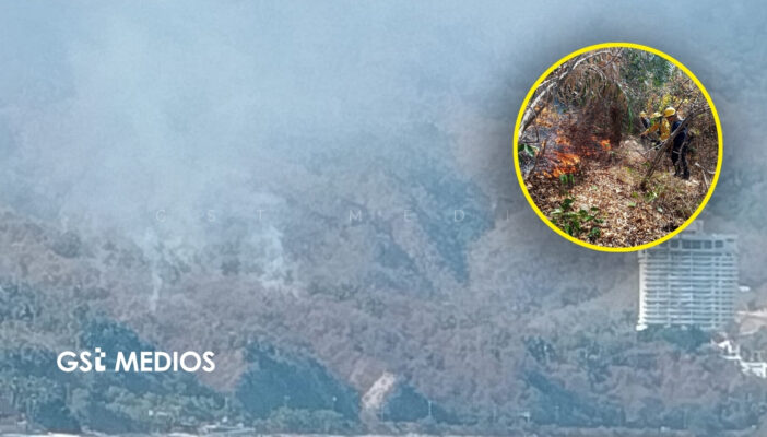Incendio consume 15 hectáreas de cerro frente a Playa Palmares