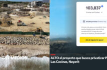 Continúa petición de firmas en change.org para proteger Playa Las Cocinas en Punta de Mita