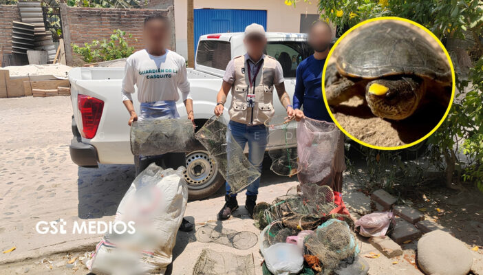 Profepa clausura obras en Puerto Vallarta que afectan hábitat de tortuga casquito