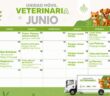 Dan a conocer el calendario de esterilizaciones gratuitas durante junio en Puerto Vallarta